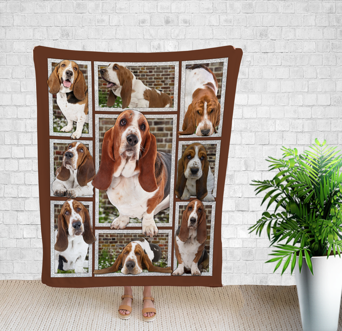 Dog Blanket, Funny Dog Photos, Dog Pictures, Dog Gift For Christmas, Dog Gifts For Owners, Dog Gift For Birthday, Fall Throw Blanket